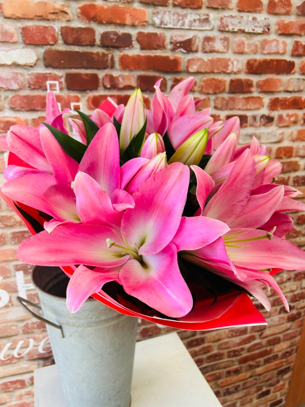 Fishlocks All Lily Handtied