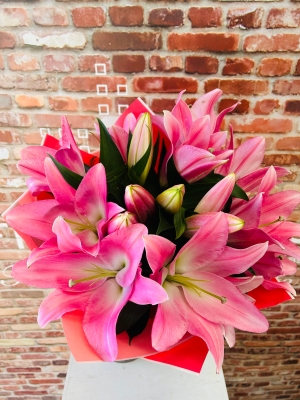 Fishlocks All Lily Handtied