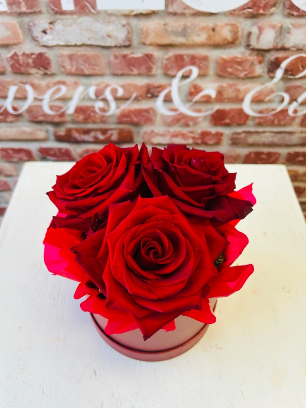 Fishlocks 3 Red Rose Hatbox
