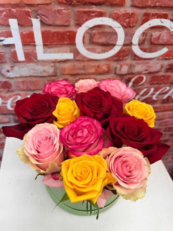 Fishlocks 12 Mixed rose Hatbox
