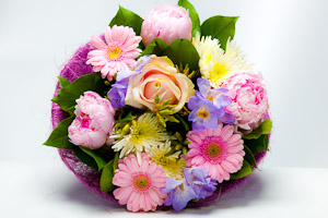 Pink peonies, pink germini, pink rose, delianne chrysanthemum, blue eye phlox, salal and eucalyptus foliage, presented in a hand tied sisal collar