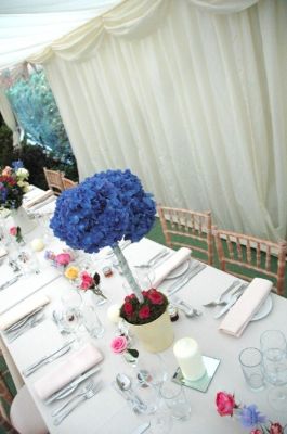 Table Arrangement Hydrangea Tree