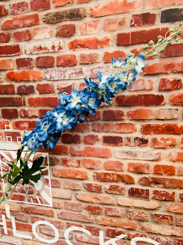 Blue Delphinium Large