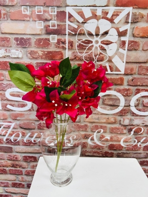 Bougainvillaea Spray