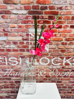 Cerise Gladiolus