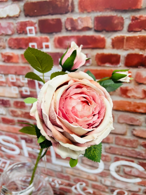 Dusky Pink Peony