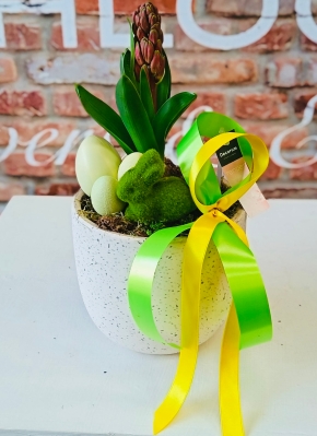 Fishlocks Easter Hyacinth Stone