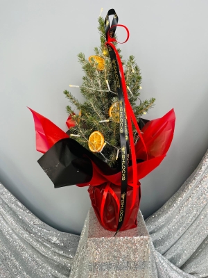 Fishlocks Festive Mini