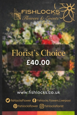 Fishlocks Florist Choice 40+