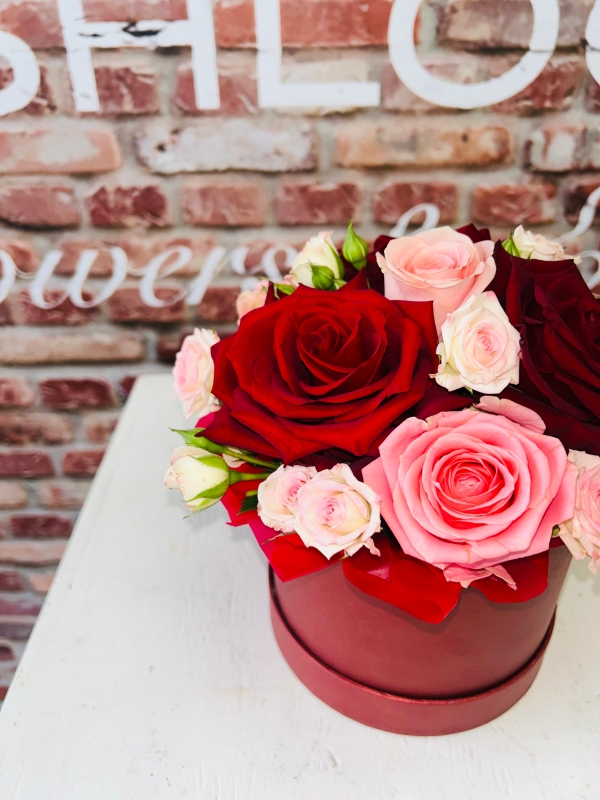 Fishlocks Sofia Loren