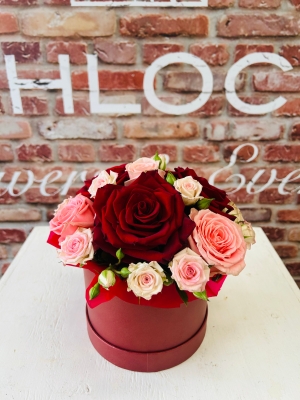 Fishlocks Sofia Loren