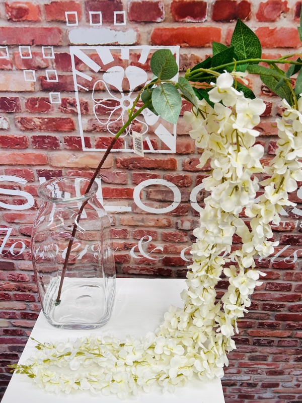 Large Trailling Wisteria White