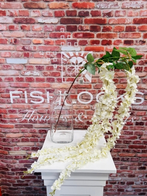 Large Trailling Wisteria White