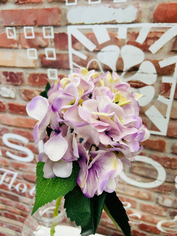 Lilac Hydrangea