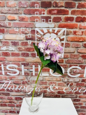 Lilac Hydrangea