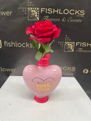 Love Potion Vase