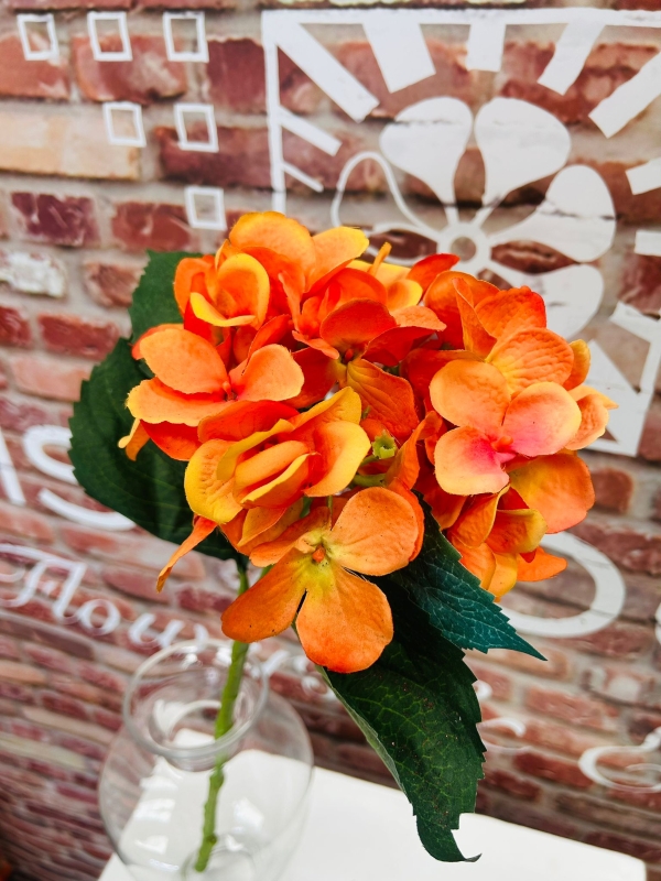 Orange Hydrangea Medium