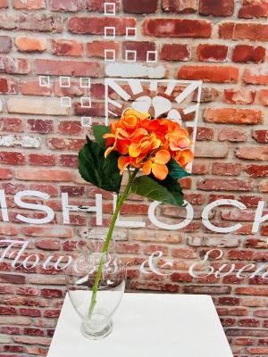 Orange Hydrangea Medium
