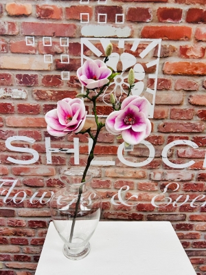 Pink Magnolia Spray