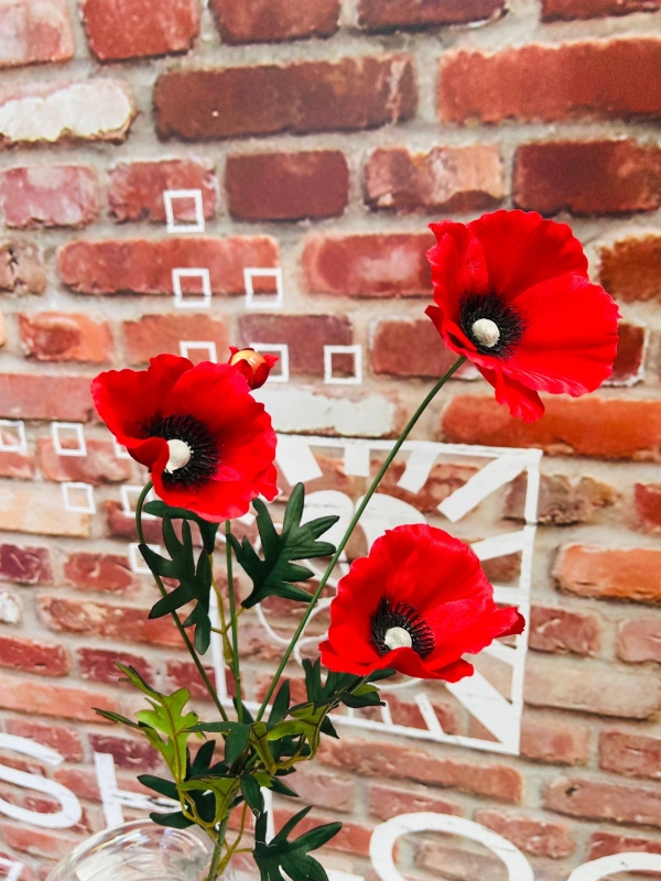 Poppy Spray