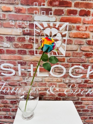 Rainbow Rose