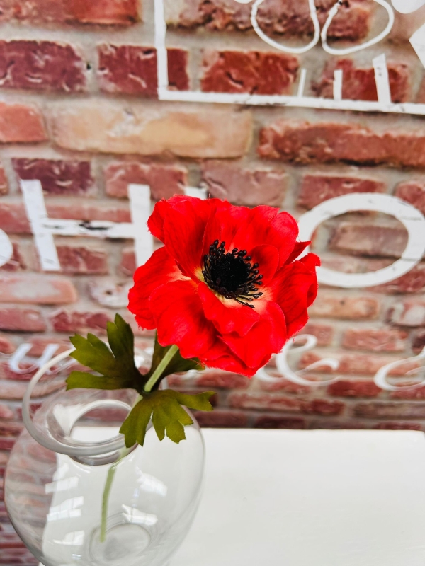 Red Anemone Small