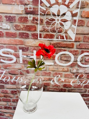 Red Anemone Small