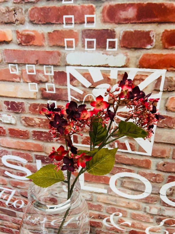 Red Budding Hydrangea