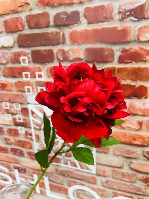 Red Peony