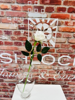 White Rose