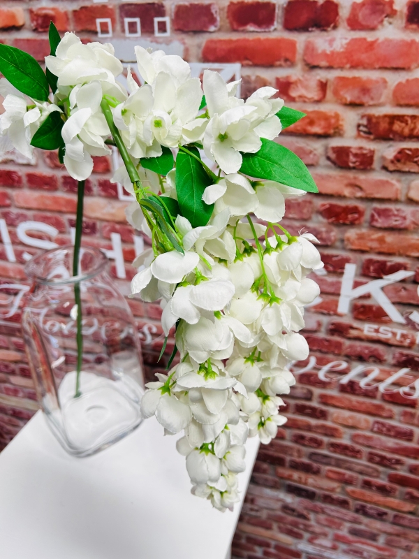 Wisteria White