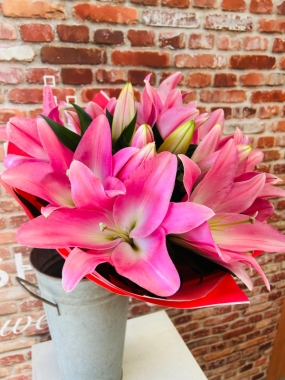 Fishlocks All Lily Handtied