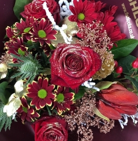 Fishhlocks Reindeer 50