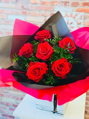 Fishlocks 6 Red Explora Special