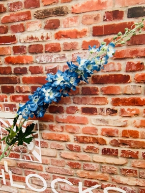 Blue Delphinium Large