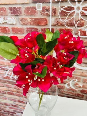 Bougainvillaea Spray