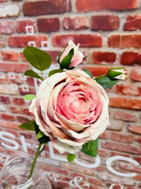 Dusky Pink Peony