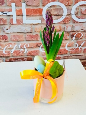 Fishlocks Easter Hyacinth Pink