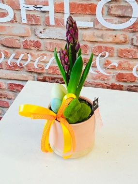 Fishlocks Easter Hyacinth Pink