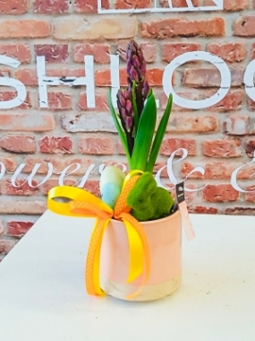 Fishlocks Easter Hyacinth Pink