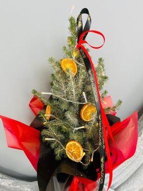 Fishlocks Festive Mini