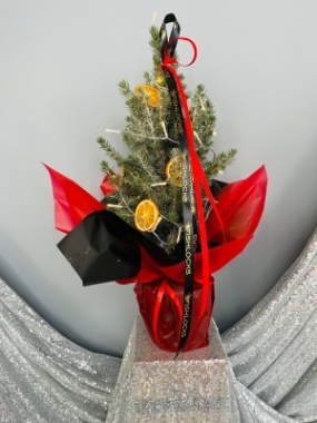 Fishlocks Festive Mini