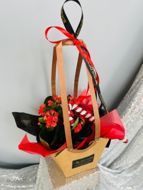 Fishlocks Kandy Kalanchoe