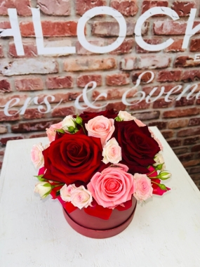 Fishlocks Sofia Loren