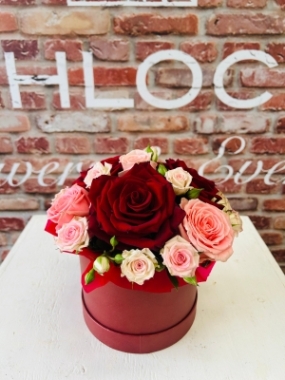 Fishlocks Sofia Loren