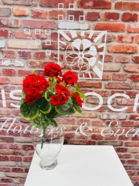 Geranium Spray Red