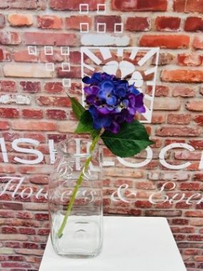 Indigo Hydrangea