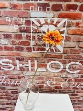 Orange Gerbera
