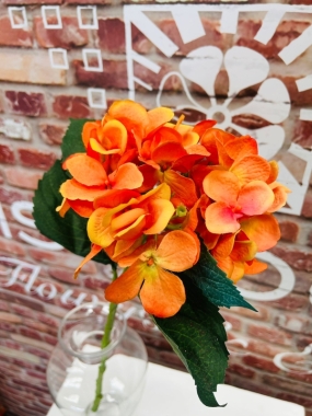 Orange Hydrangea Medium
