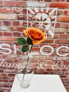 Orange Rose